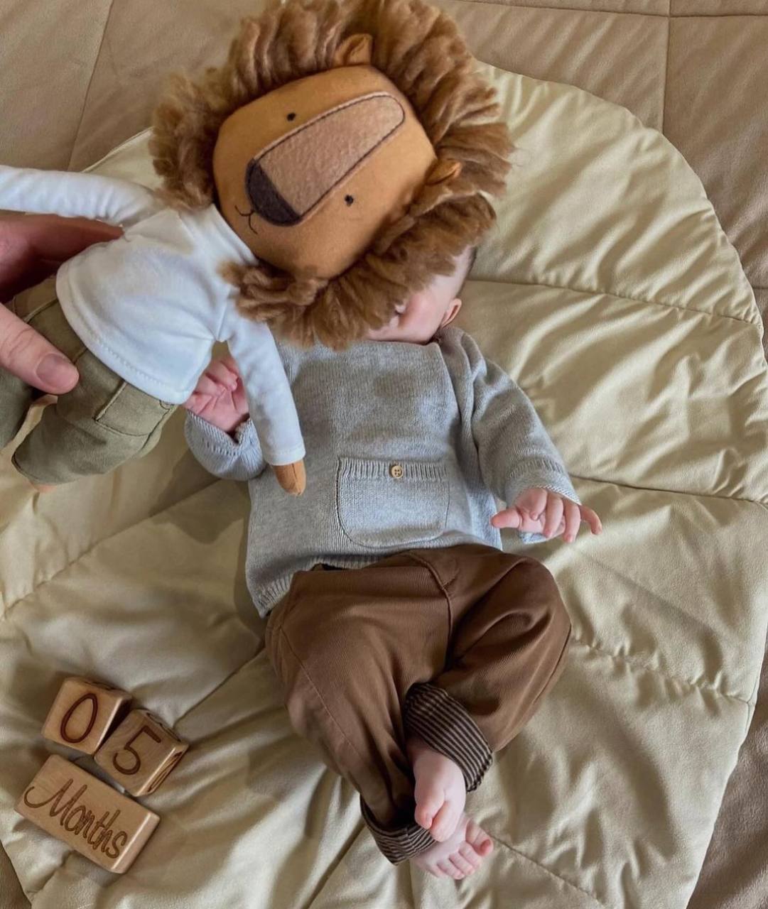 Simon – Leul Premium de Pluș Cotti Motti (30 cm)