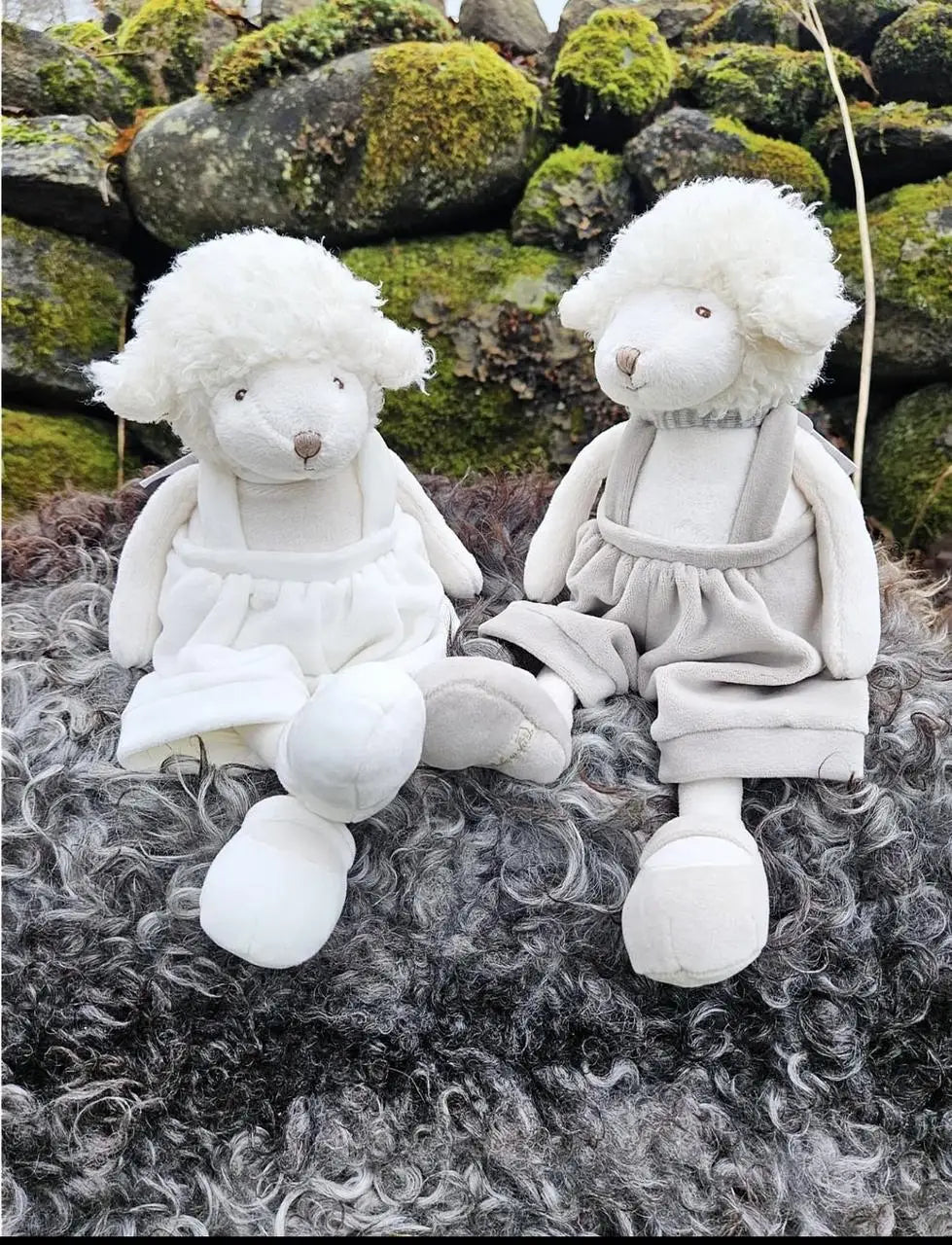 Molly – Oița de Pluș Premium 30 cm în CUTIE CADOU