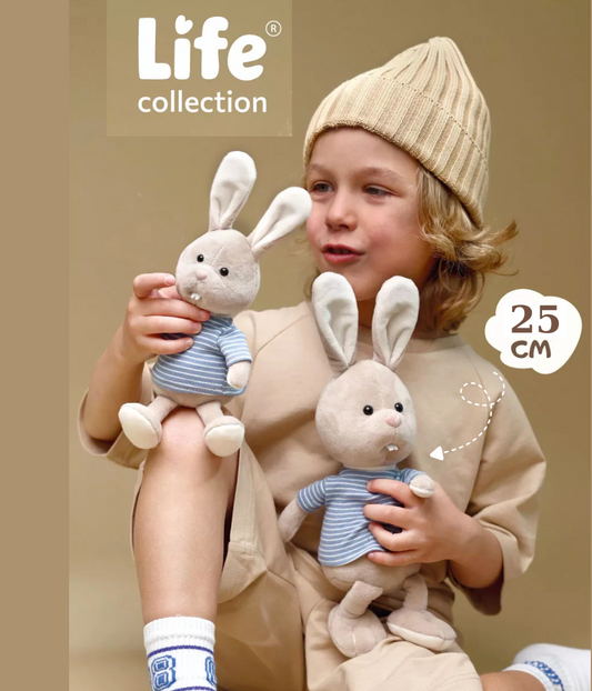 Life – Lucas Iepurașul în cutie de colorat tip căsuță (25 cm)