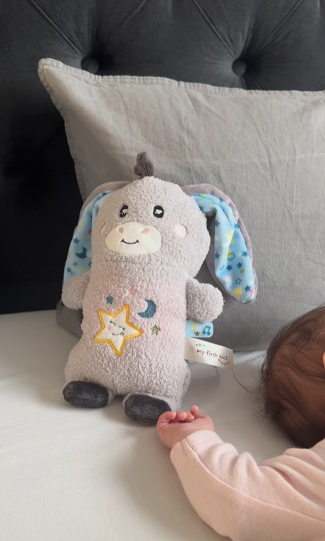 Jucărie calmantă pentru bebeluși, măgarușul Littledoo, în cutie cadou, 25 cm