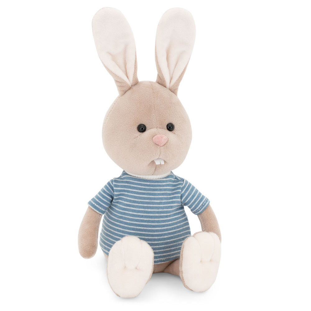 Life – Lucas Iepurașul în cutie de colorat tip căsuță (25 cm)