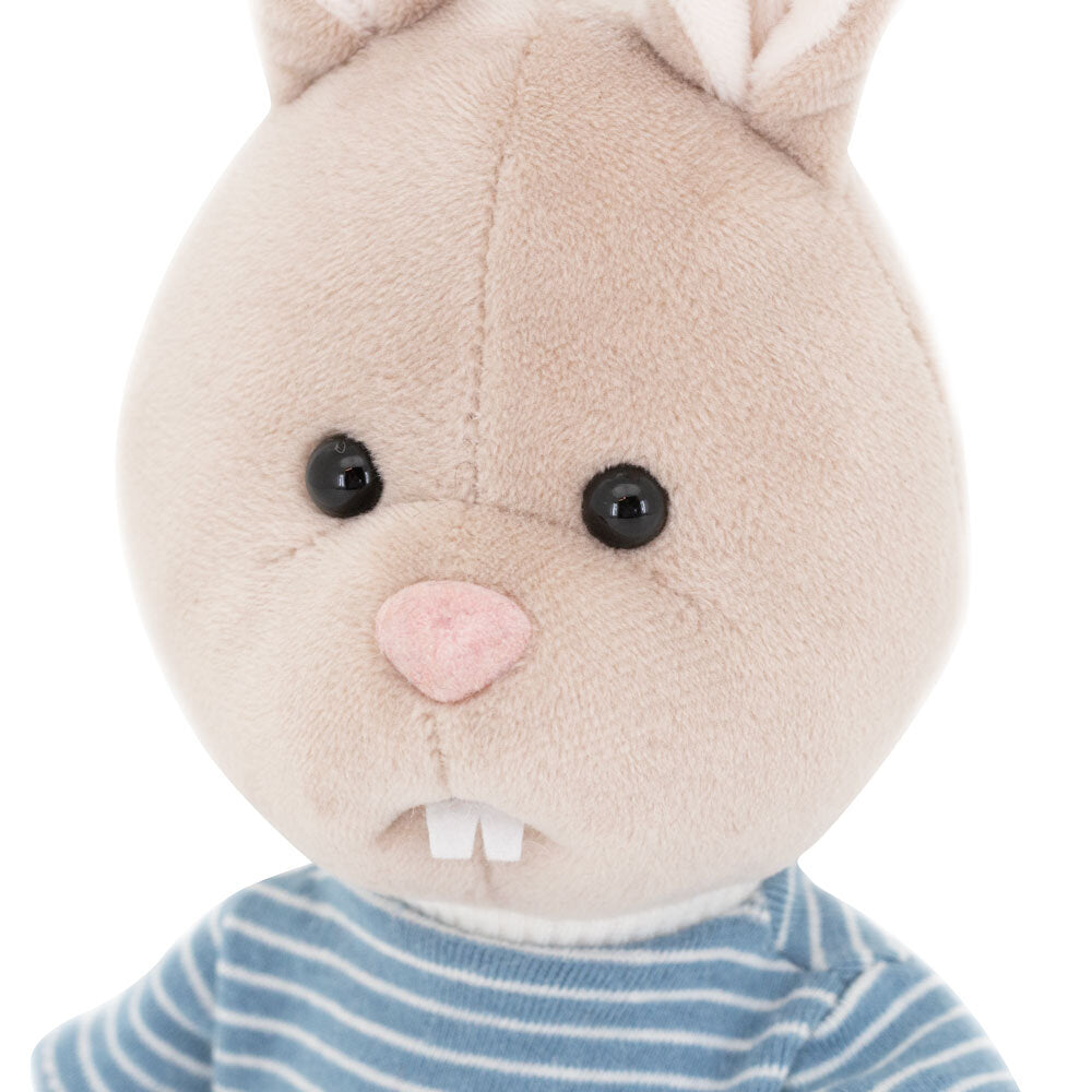 Life – Lucas Iepurașul în cutie de colorat tip căsuță (25 cm)