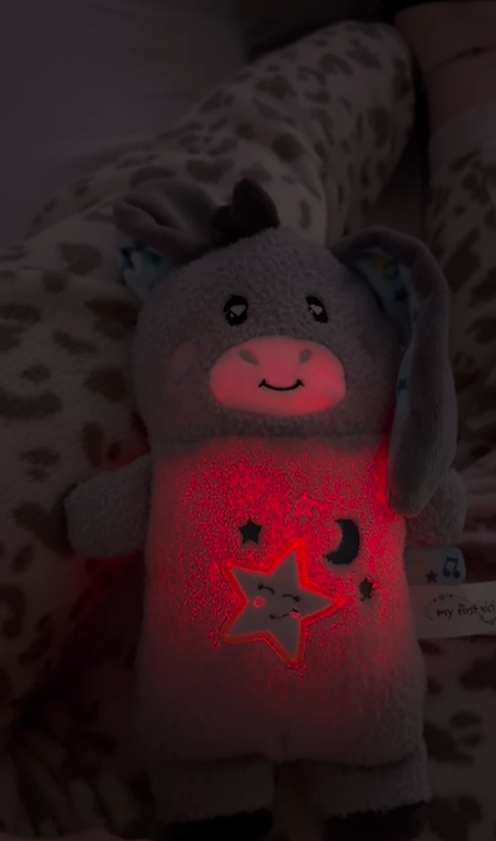Jucărie calmantă pentru bebeluși, măgarușul Littledoo, în cutie cadou, 25 cm
