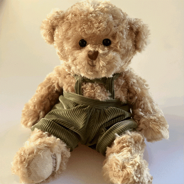 Jerome – Ursuleț de Pluș Premium 25 cm