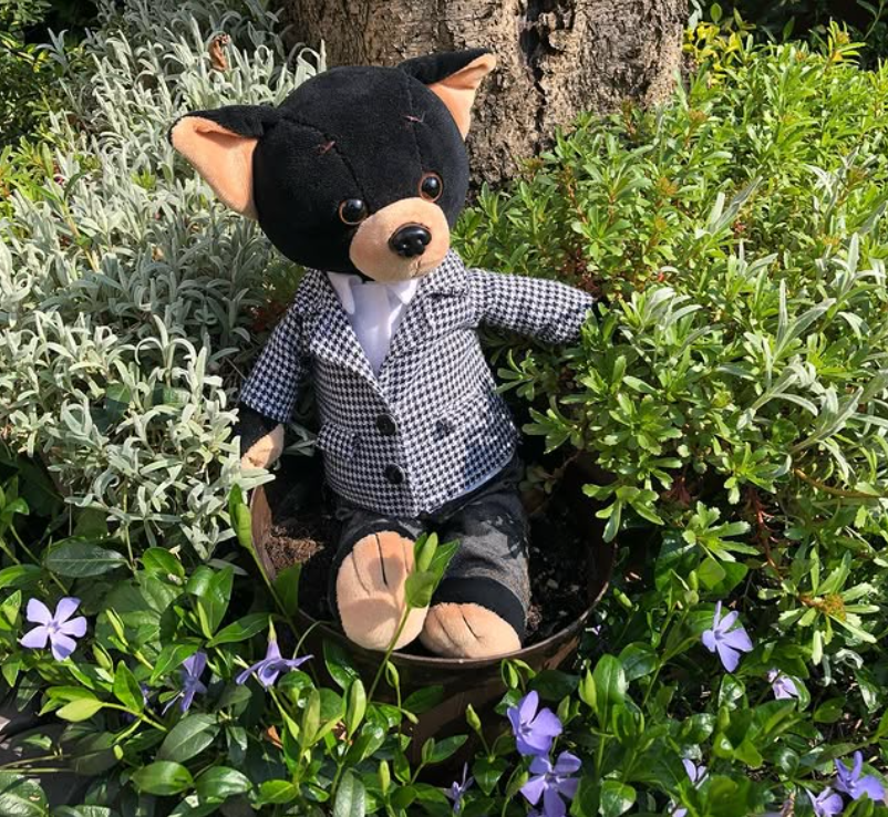 Lucky Buzz: Modern Classic – Căţeluş de Pluş Premium Lucky Doggy